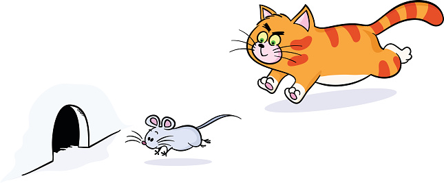 mouse-cat